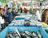 沖縄市漁業協同組合パヤオ直売所