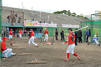 広島東洋カープ スポーツ 沖縄市観光ポータルコザウェブ Kozaweb 広島東洋カープ スポーツ 沖縄市観光ポータルコザウェブ Kozaweb
