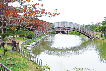 沖縄県総合運動公園2